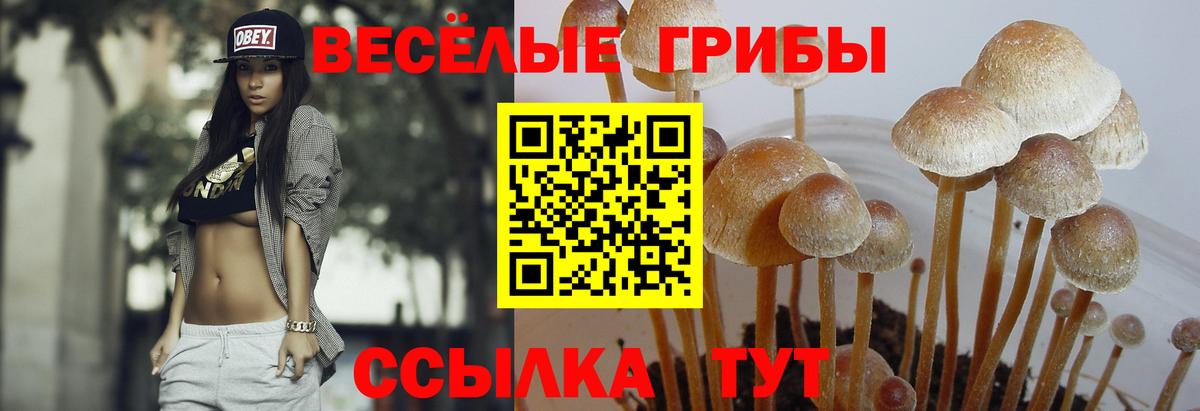 Воскресенск  Псилоцибиновые грибы мухоморы  Вход с VPN 